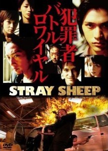 STRAY SHEEP