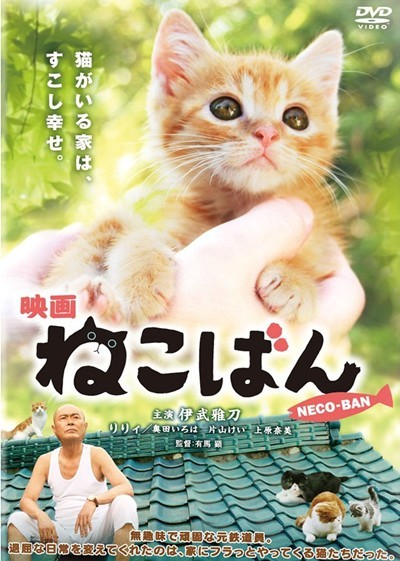 映画 ねこばん