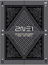 2NE1 1st Concert 'NOLZA!' LIVE in SEOUL