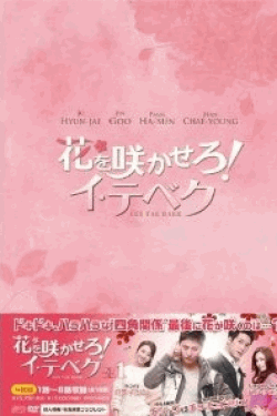 [DVD] 花を咲かせろ! イ・テベク DVD-BOX 1+2