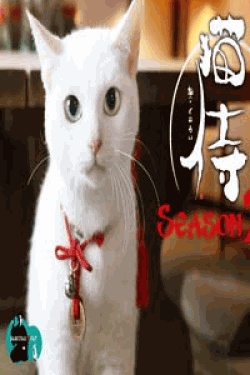 [DVD] 猫侍 SEASON2【完全版】(期間限定生産)