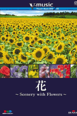 花~Scenery with Floews~ V-music