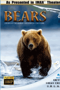 IMAX THEATER BEARS