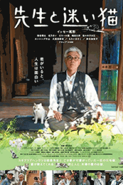 [DVD] 先生と迷い猫
