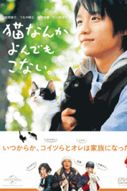 [DVD] 猫なんかよんでもこない。