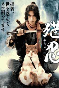 [DVD] 猫忍【完全版】(初回生産限定版)