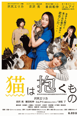 [DVD] 猫は抱くもの