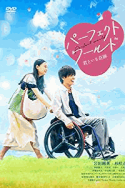 [DVD] パーフェクトワールド 君といる奇跡