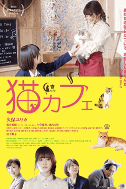 [DVD] 猫カフェ