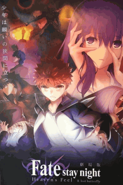 [DVD] 劇場版「Fate/stay night [Heaven's Feel] II.lost butterfly」