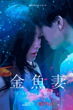 [DVD] 金魚妻 全8話