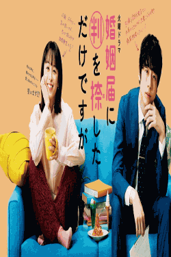 [DVD] 婚姻届に判を捺しただけですが 