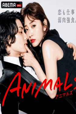 [DVD] ANIMALS-アニマルズ-