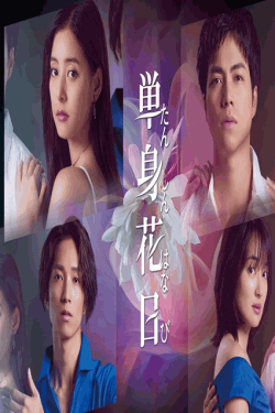 [DVD] 単身花日