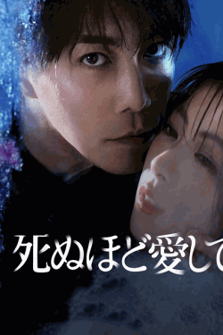 [DVD]  死ぬほど愛して