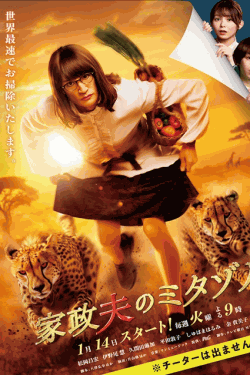 [DVD] 家政夫のミタゾノ（2025）
