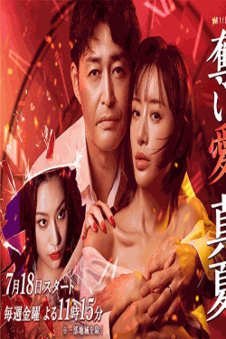 [DVD]  奪い愛、真夏