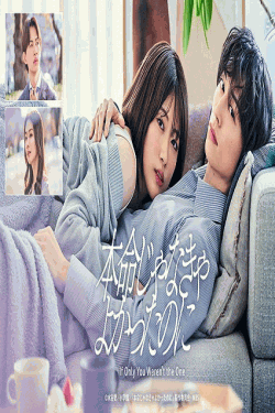 [DVD]  本命じゃなきゃよかったのに