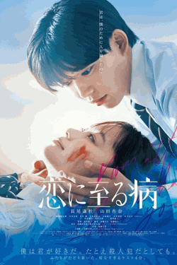 [DVD]  恋に至る病