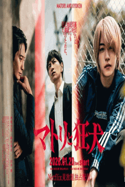 [DVD]  マトリと狂犬