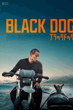 [DVD]  ブラックドッグ