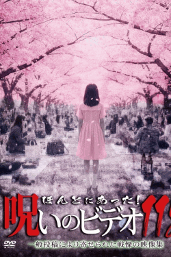 [DVD]  ほんとにあった!呪いのビデオ 115