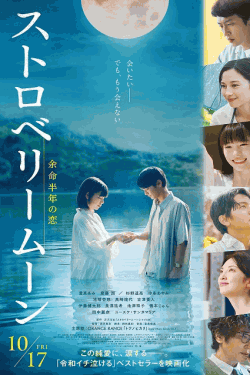 [DVD]  ストロベリームーン 余命半年の恋