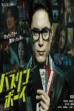[DVD]  ハスリンボーイ