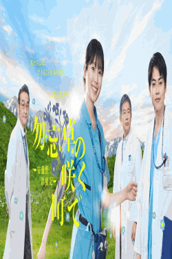 [DVD]  勿忘草の咲く町で　～安曇野診療記～