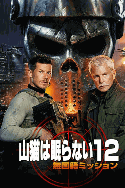 [DVD]  （吹替版）山猫は眠らない12 無国籍ミッション