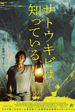 [DVD]  サトウキビは知っている