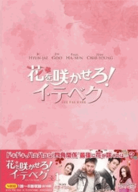 [DVD] 花を咲かせろ! イ・テベク DVD-BOX 1+2