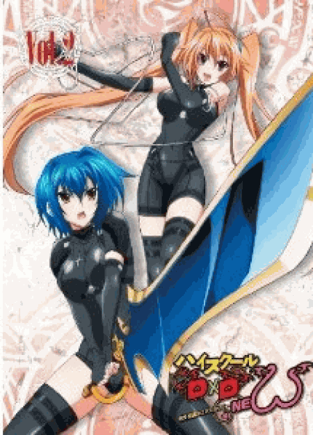 [Blu-ray] ハイスクールD×D NEW Vol.2