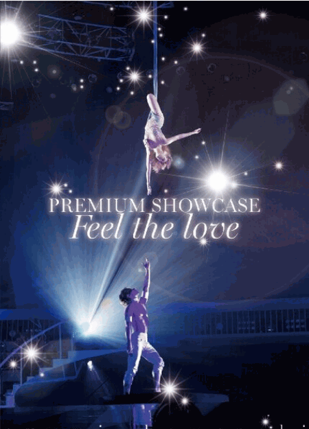 [DVD] ayumi hamasaki PREMIUM SHOWCASE ~Feel the love~