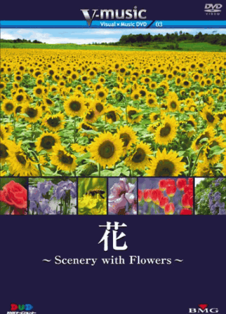 花~Scenery with Floews~ V-music