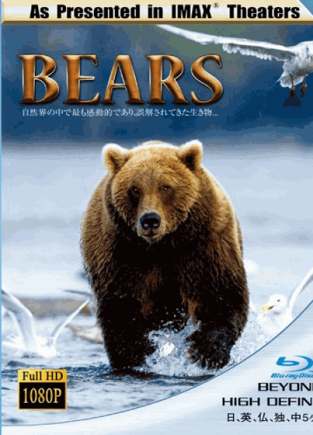 IMAX THEATER BEARS