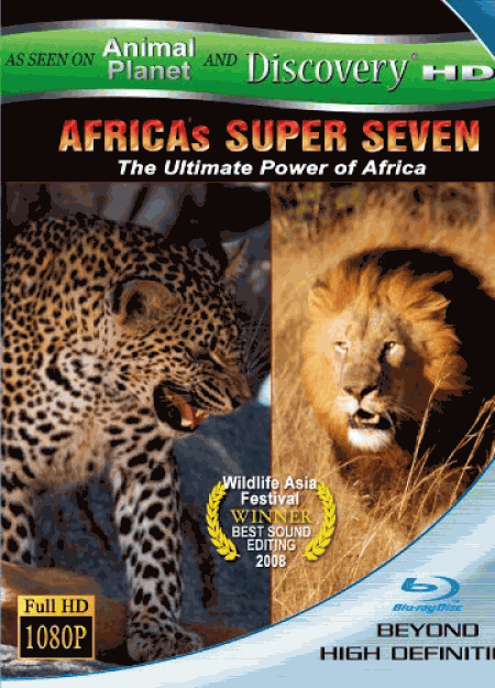 AFRICAS SUPER SEVEN アフリカの覇者達