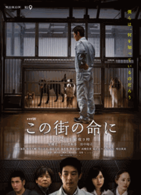 [DVD] この街の命に