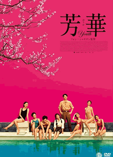 [DVD] 芳華-Youth-