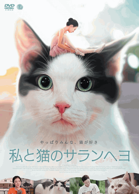 [DVD] 私と猫のサランヘヨ