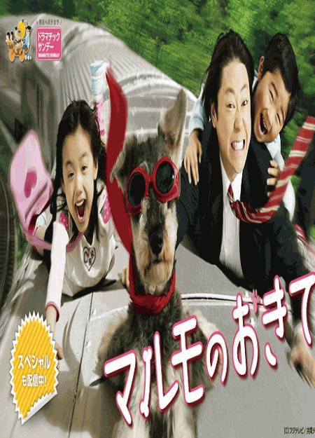 [DVD]  マルモのおきて