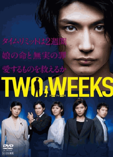 [DVD] TWO WEEKS
