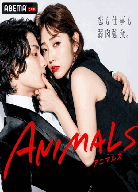 [DVD] ANIMALS-アニマルズ-