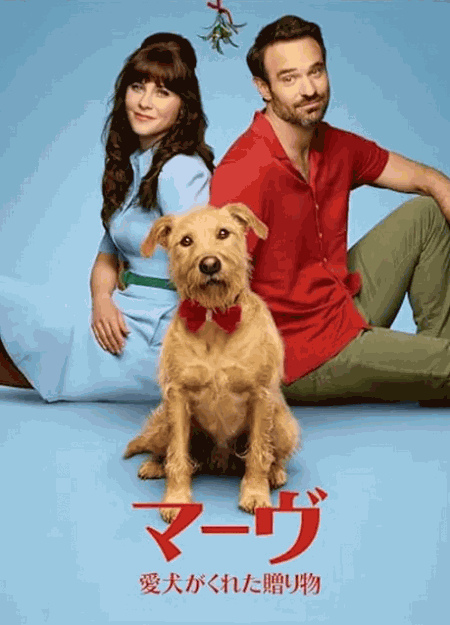 [DVD]  マーヴ ～愛犬がくれた贈り物