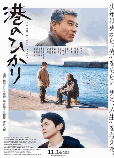 [DVD]  港のひかり