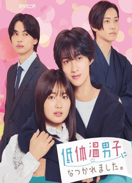 [DVD]  低体温男子になつかれました。