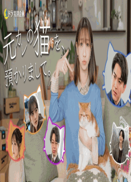 [DVD]  元カレの猫を、預かりまして。