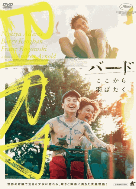 [DVD]  バード　ここから羽ばたく
