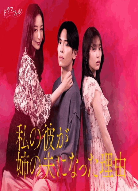 [DVD]  私の彼が姉の夫になった理由