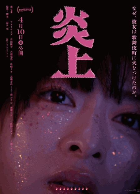 [DVD]  炎上